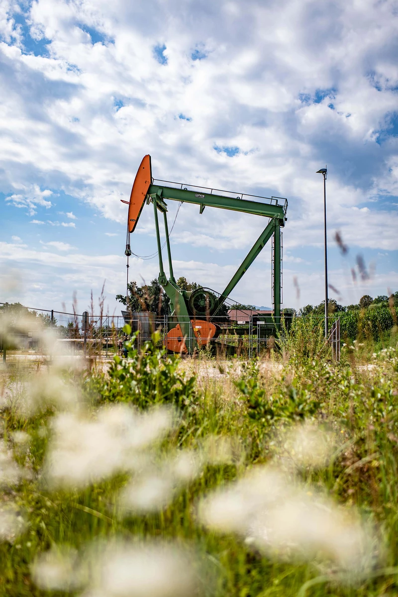 Pumpenböcke hinter grüner Wiese mit blauem Himmel