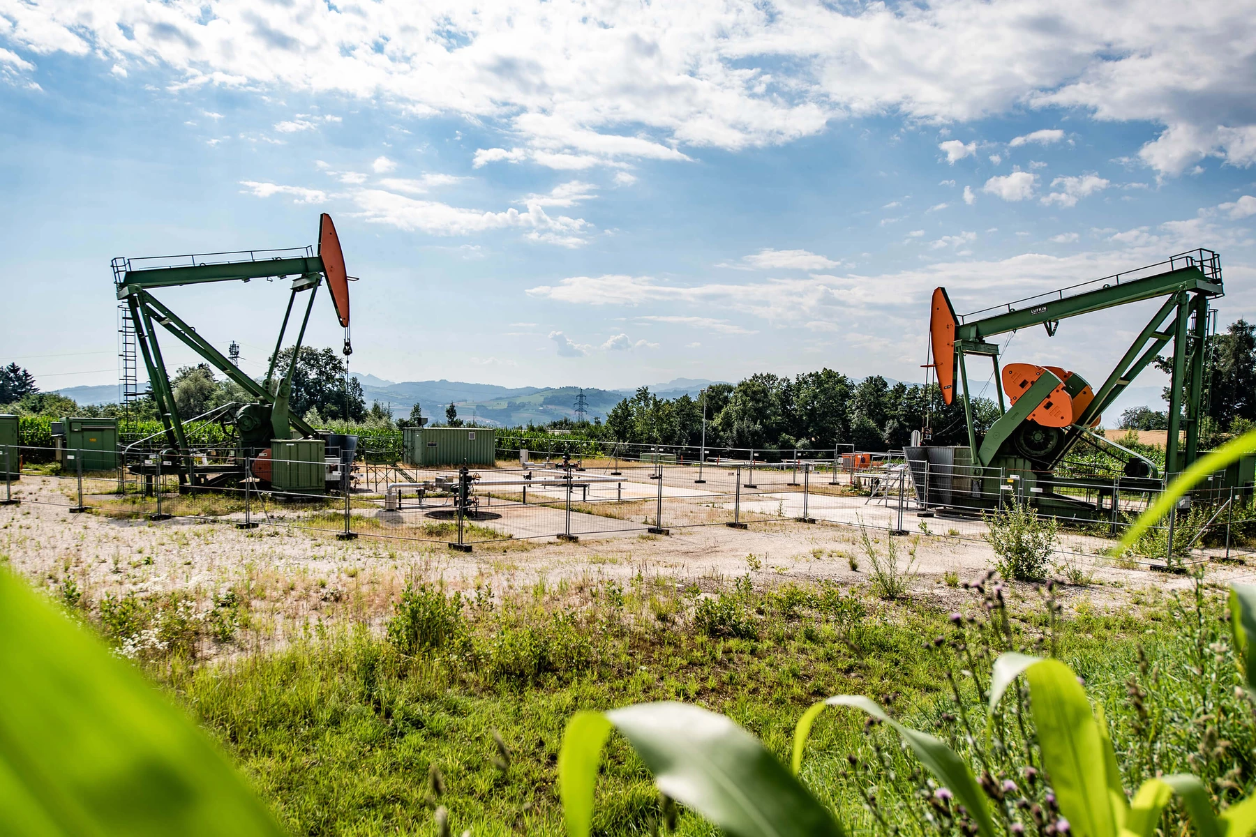 Pumpenböcke hinter grüner Wiese mit blauem Himmel