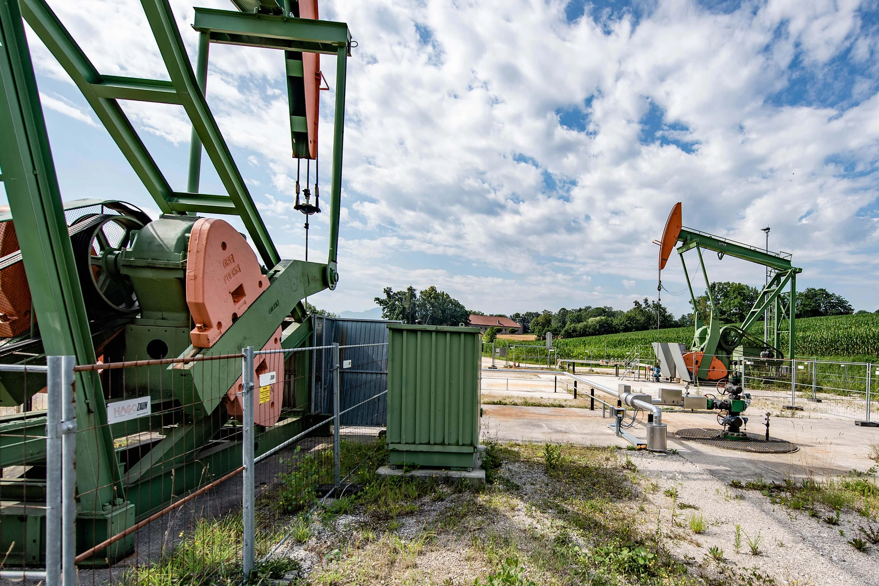 Pumpenböcke vor grüner Wiese und blauem Himmel
