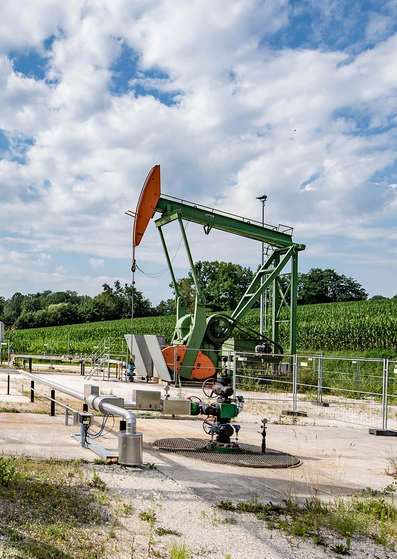 Pumpenböcke vor grüner Wiese und blauem Himmel
